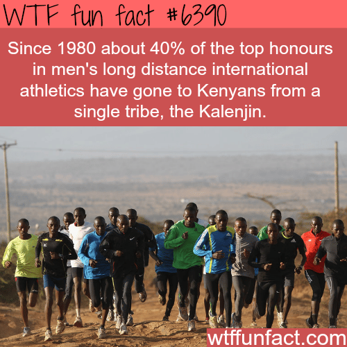 This Kalenjin Kenyan tribe - WTF fun facts