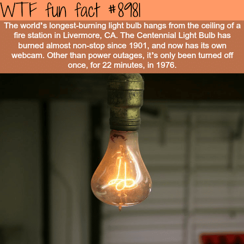 This light bulb has been burning for over 100 years - WTF fun fact