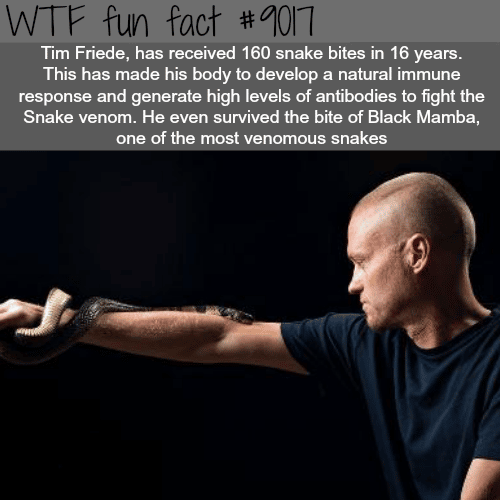 This man is immune to snake venoms - WTF fun facts