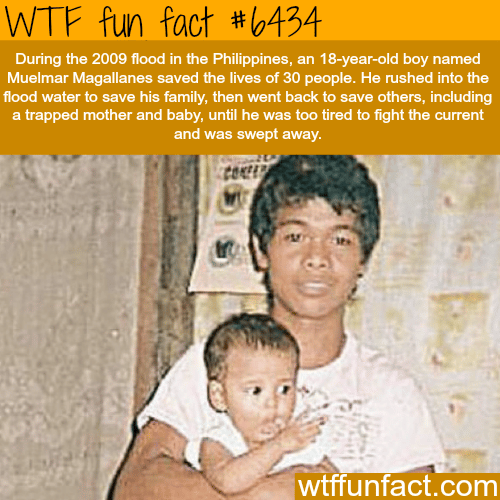 This man saved 30 people during the floods in the Philippines - WTF fun facts