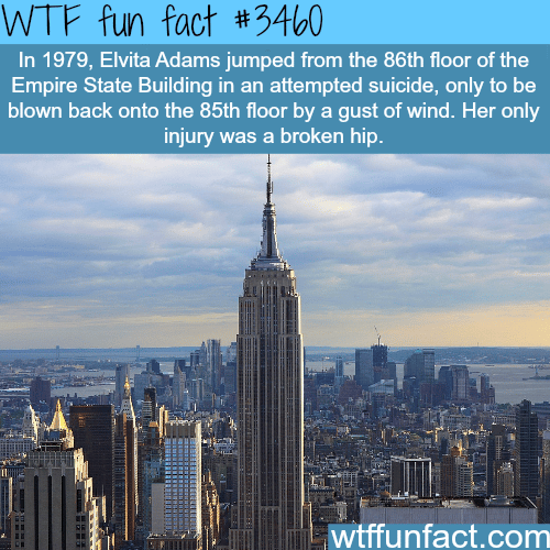 This person survived a jump from the Empire State building -  WTF fun facts