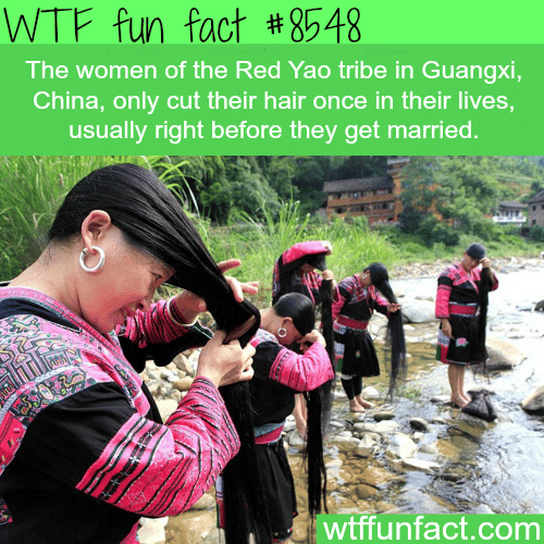 This Tribe in China only cut their hair once in their lifetime  - WTF fun facts