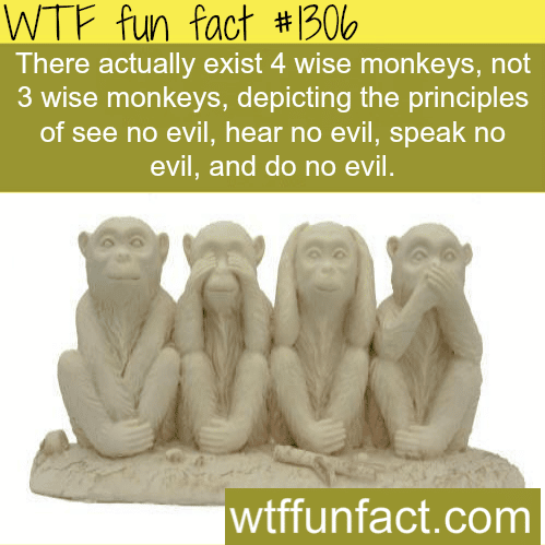 Three wise monkeys - facts