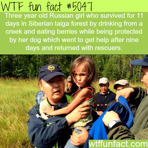 Three year-old Russian girl survives for 11 days in forest - WTF fun facts