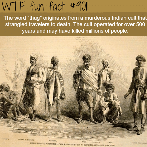 Thugs - WTF fun facts