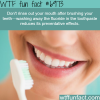 tips on brushing your teeth wtf fun fact