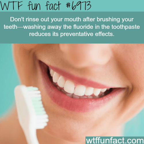 Tips on brushing your teeth - WTF fun fact