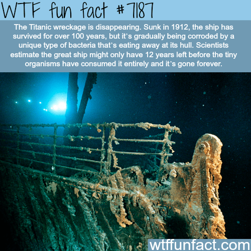 Titanic wreckage will disapeare by 2030 