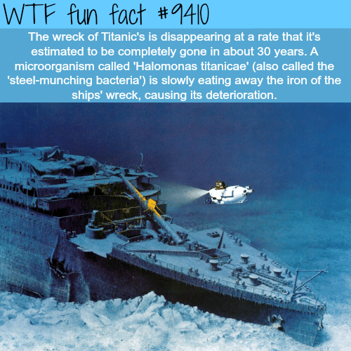 Titanic’s wreckage s disappearing - WTF fun facts