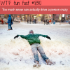 too much snow will make you crazy wtf fun facts