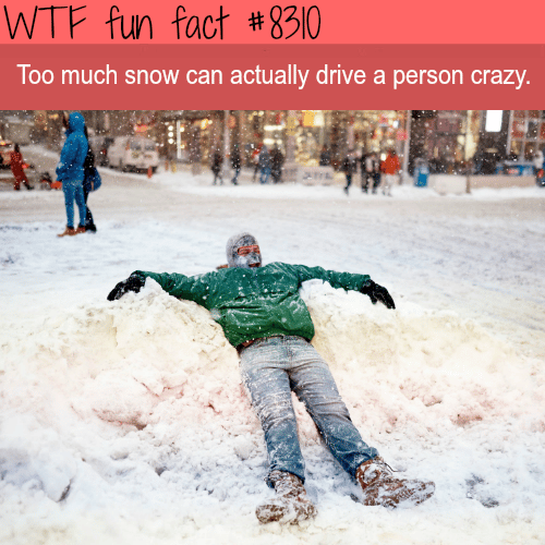 Too much snow will make you crazy - WTF fun facts