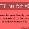too much stress psychology fact