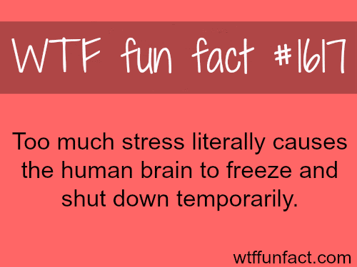 Too much stress can freeze your brain - WTF fun facts