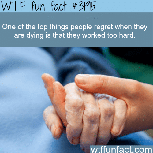 Top things people regret when they are dying -  WTF fun facts
