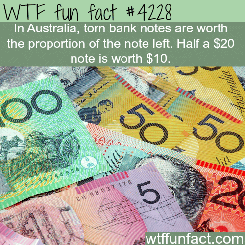 Torn Australian currency -  WTF fun facts