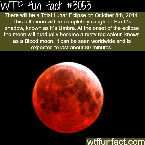 Total Lunar Eclipse on October 8th