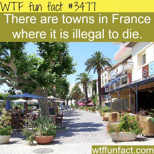 Towns in France where it’s illegal to die -  WTF fun facts