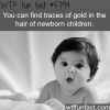 traces of gold can be found in hair of newborn