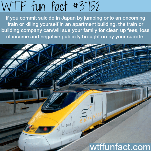 Train Suicide in Japan - WTF fun facts