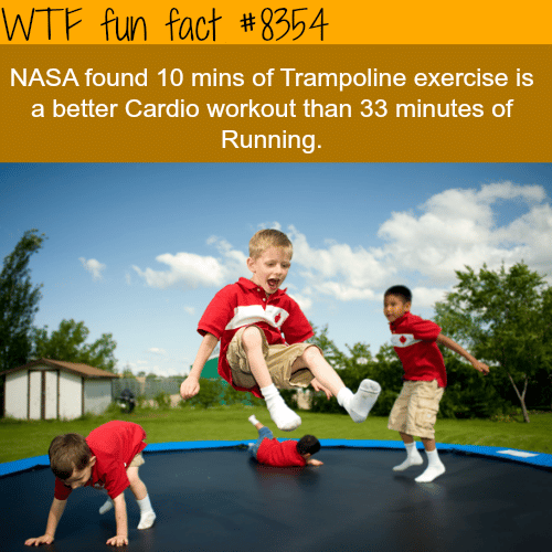 Trampoline exercise - WTF fun facts