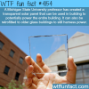 transparent solar panel made by michigan state