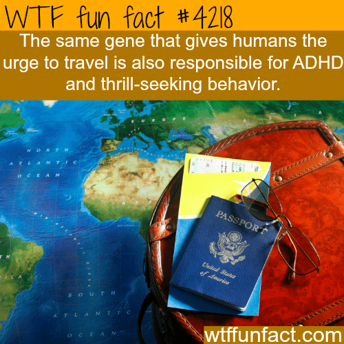 Traveling and thrill-seeking behavior -  WTF fun facts