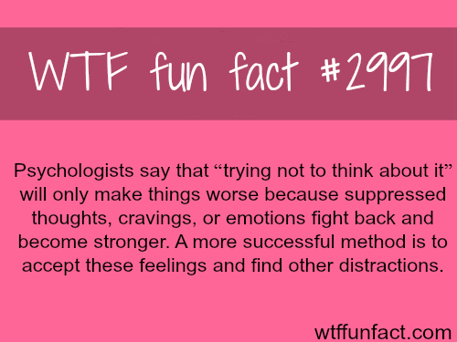 Trying not to think about it -  WTF fun facts