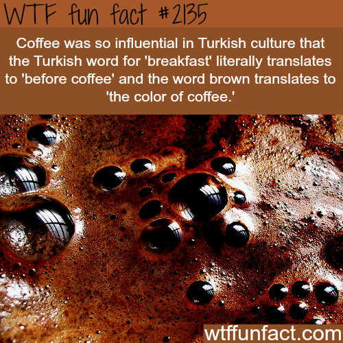 Turkish Culture and Coffee - WTF fun facts