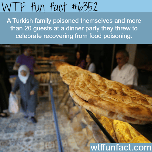 Turkish family gets poisoned at dinner party… - WTF fun facts