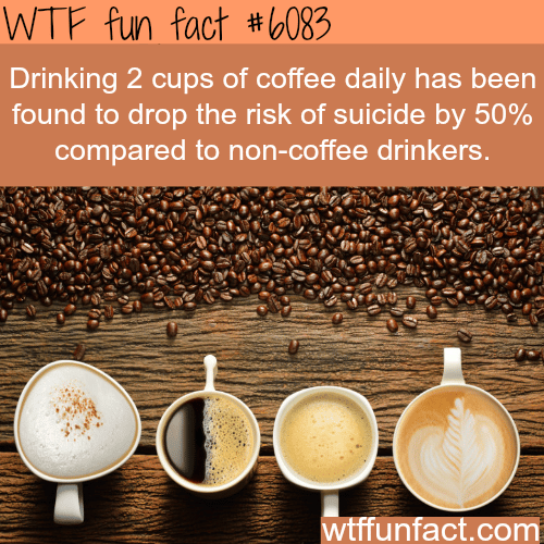 Two cups coffee - WTF fun facts