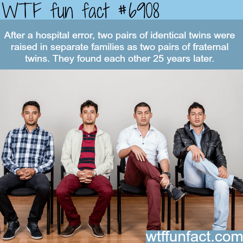 Two pairs of Identical twins separated at birth - WTF fun fact