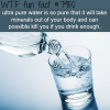 ultra pure water can kill you wtf fun fact