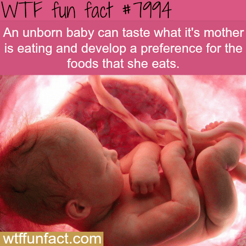 Unborn babies can develop food preference - WTF fun fact