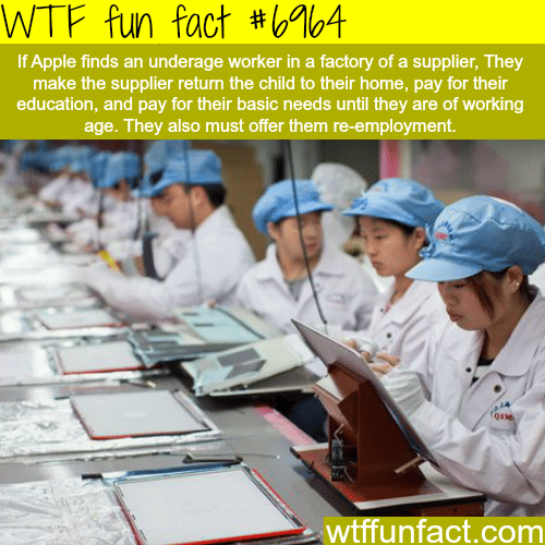Underage apple factory workers - WTF fun fact