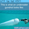 underwater gun shot