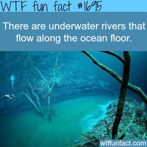 Underwater rivers that flow along the ocean floor - WTF fun facts