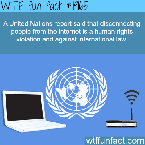 United Nations and Internet Human Right - WTF fun facts
