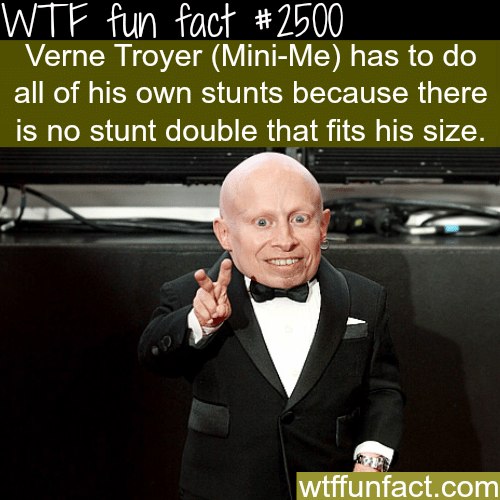 Verne Troyer (Mini-Me) stunt double - WTF fun facts