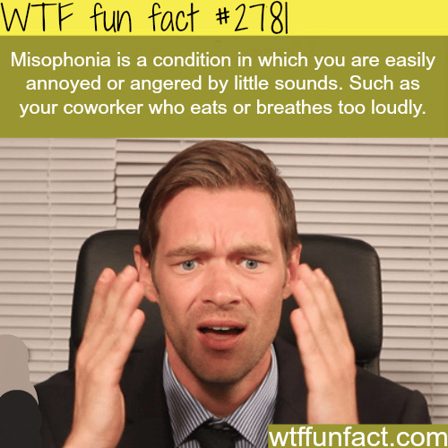 Very commond phobias - WTF fun facts
