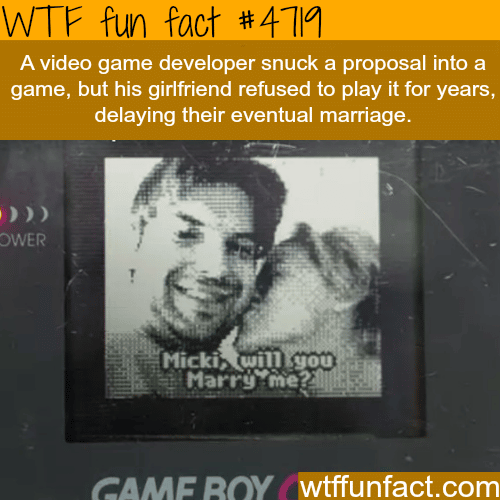 Video game developer hides a proposal into a game - WTF fun facts