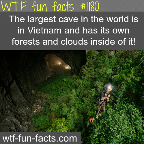 VIETNAM CAVE - largest cave in the world (awesome places)