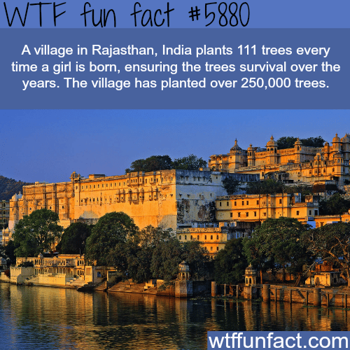 Village in India that - WTF fun facts