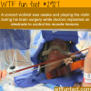 vilonist play music during surgery