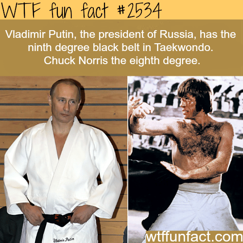 Vladimir Putin earns a ninth degree black belt - WTF fun facts