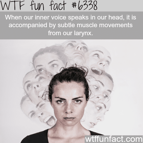 Voices in your head are accompanied by muscle movements…- WTF fun facts