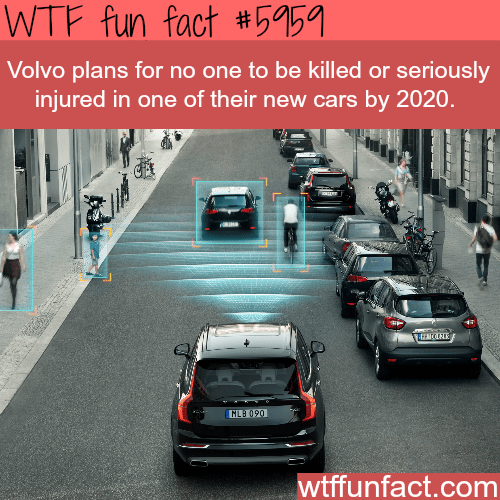Volvo’s safety technology - WTF fun facts