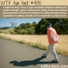 walking and creative thought wtf fun facts