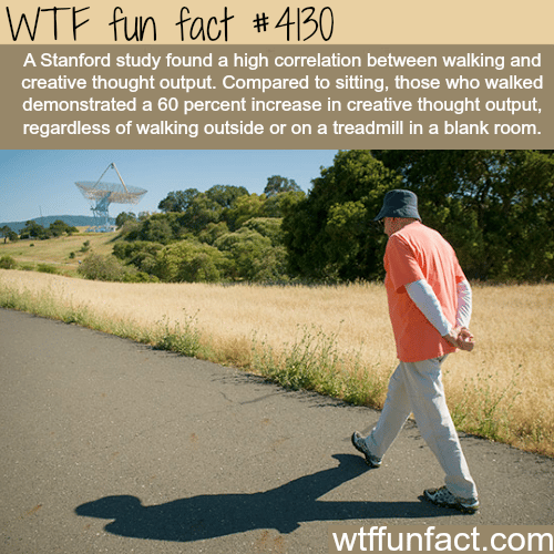 Walking and creative thought -  WTF fun facts