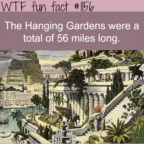 WATCH THIS AWESOME VIDEO ABOUT THE HANGING GARDENS
