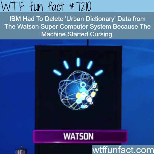 Watson Super Computer learned how to curse - WTF Fun Fact